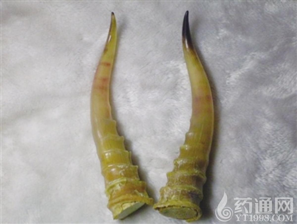 羚羊角鉴别方法