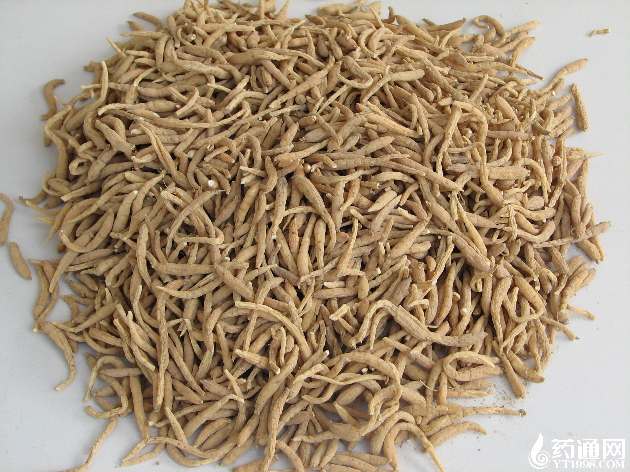 贵州施秉县牛大场太子参逢集快讯