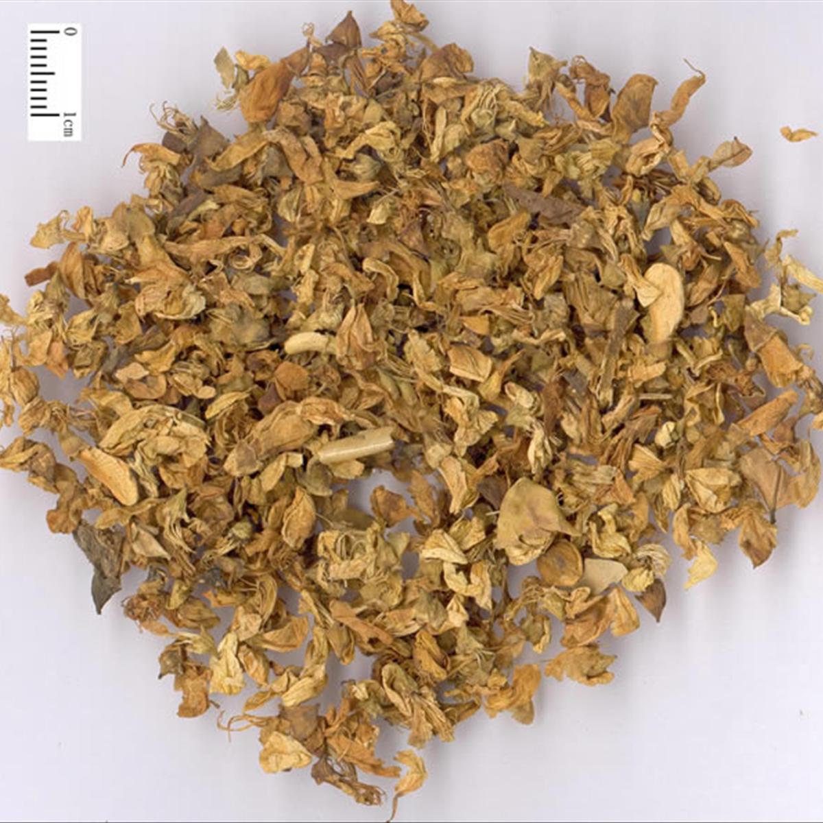 供货信息 详细 供应:槐花