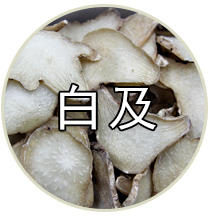 品种专题
