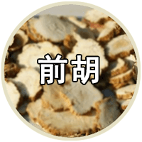 品种专题