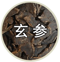 品种专题